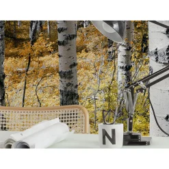 KomarVlies Fototapete Colorful Aspenwoods 450x280 cm