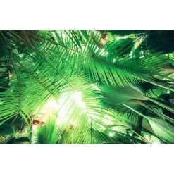 KomarVlies Fototapete Dschungeldach 450x280 cm