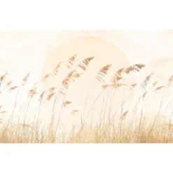 KomarVlies Fototapete Dune Grass 400x250 cm