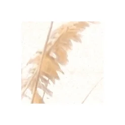 KomarVlies Fototapete Dune Grass 400x250 cm