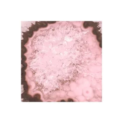 KomarVlies Fototapete Geode 300x280 cm