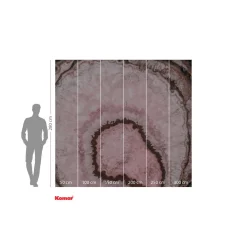 KomarVlies Fototapete Geode 300x280 cm