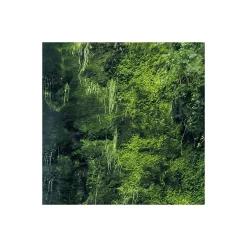 KomarVlies Fototapete Glenevin Falls 200x250 cm