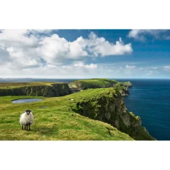 KomarVlies Fototapete Green Ireland 450x280 cm