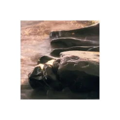 KomarVlies Fototapete Island Dreaming 200x250 cm