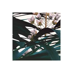 KomarVlies Fototapete Jungle Morning 400x250 cm