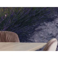 KomarVlies Fototapete Lavender Dream 450x280 cm