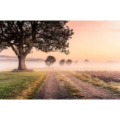 KomarVlies Fototapete Misty Morning 400x250 cm