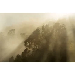 KomarVlies Fototapete Misty Mountain 400x250 cm