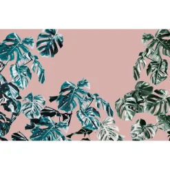 KomarVlies Fototapete Monstera Rosé 400x250 cm