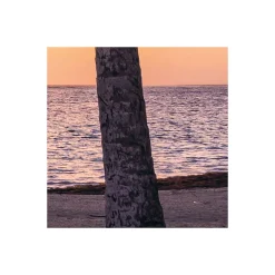 KomarVlies Fototapete Palmtrees on Beach 200x250 cm