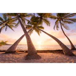 KomarVlies Fototapete Reaching the Sun 400x250 cm