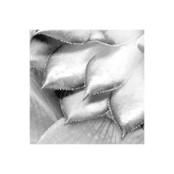 KomarVlies Fototapete Shades Black and White 400x250 cm