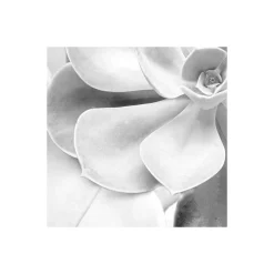 KomarVlies Fototapete Shades Black and White 400x250 cm