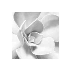 KomarVlies Fototapete Shades Black and White 400x250 cm