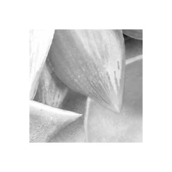 KomarVlies Fototapete Shades Black and White 400x250 cm