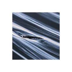KomarVlies Fototapete Smooth 400x250 cm