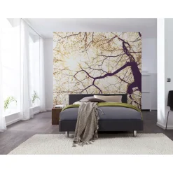 KomarVlies Fototapete Sunshine 250x250 cm