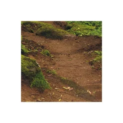 KomarVlies Fototapete The Path 200x250 cm