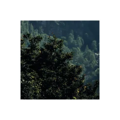 KomarVlies Fototapete The Summit 300x200 cm