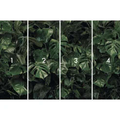 KomarVlies Fototapete Tropical Wall 400x250 cm