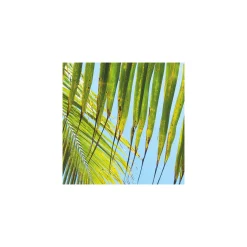 KomarVlies Fototapete Under The Palmtree 200x250 cm