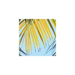 KomarVlies Fototapete Under The Palmtree 200x250 cm