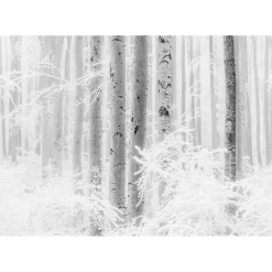 KomarVlies Fototapete Winter Wood 400x280 cm