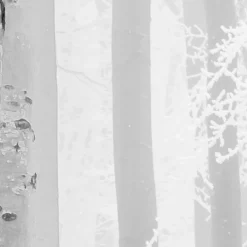 KomarVlies Fototapete Winter Wood 400x280 cm