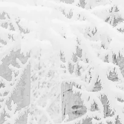 KomarVlies Fototapete Winter Wood 400x280 cm