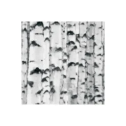 KomarVlies Fototapete Woods 400x270 cm