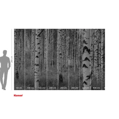 KomarVlies Fototapete Woods 400x270 cm