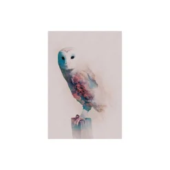 KomarWandbild Animals Forest Owl 50x70 cm