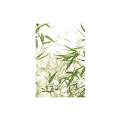 KomarWandbild Bamboo Leaves 40x50 cm