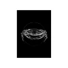 KomarWandbild Crab Black 50x70 cm