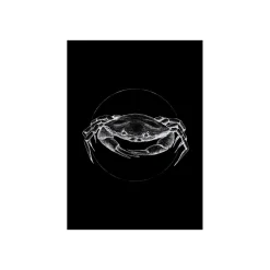 KomarWandbild Crab Black 50x70 cm