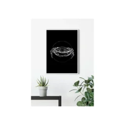 KomarWandbild Crab Black 50x70 cm