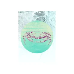 KomarWandbild Crab Sea 50x70 cm
