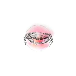 KomarWandbild Crab Watercolor 50x70 cm