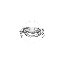KomarWandbild Crab White 50x70 cm