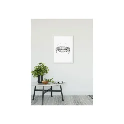 KomarWandbild Crab White 50x70 cm