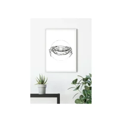 KomarWandbild Crab White 50x70 cm