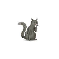 KomarWandbild Cute Animal Cat 50x70 cm