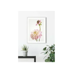KomarWandbild Dahlia 40x50 cm