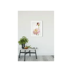 KomarWandbild Dahlia 40x50 cm
