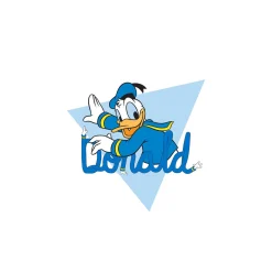 KomarWandbild Donald Duck Triangle 50x70 cm