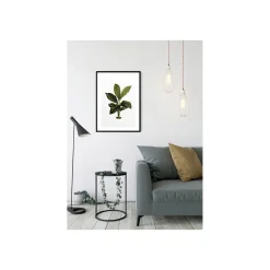 KomarWandbild Elastica Leaf 50x70 cm