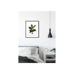 KomarWandbild Elastica Leaf 50x70 cm