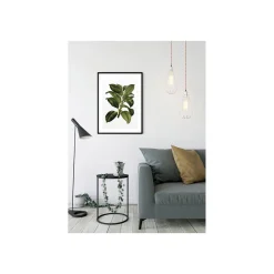 KomarWandbild Elastica Tree 40x50 cm