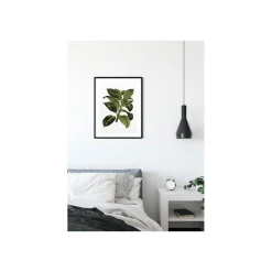 KomarWandbild Elastica Tree 50x70 cm